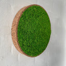 Lys mos cirkel med kork kant.