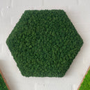 OEKOBOARD Premium - Sekskant med mos, valgfri farve