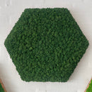 Sekskant med mørkegrøn reindeer mos.