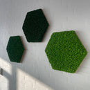 OEKOBOARD Premium - Sekskant med mos, valgfri farve