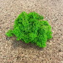 2. sorterings mos i lys grøn.