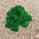 2. sortering skovgrønt reindeer mos