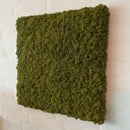 OEKOBOARD Basic - Mos firkant