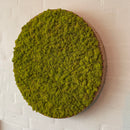 OEKOBOARD Basic - Mos cirkel