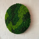 Mos cirkel med 3 grønne reindeer mos farver.