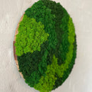 Blandet mos cirkel med 3 farver.