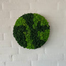 Blandet mos cirkel 2 farver. Lys grøn og mørkegrøn.