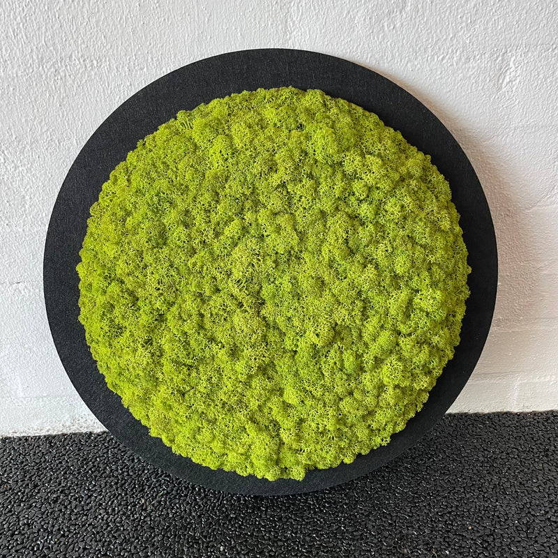 Lysgrøn mos på sort filt cirkel, 40 cm. 2. sortering