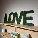 OEKOBOARD - Bogstav med reindeer mos (1 bogstav)