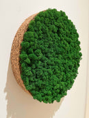 Lav selv mosfirkant m/kant