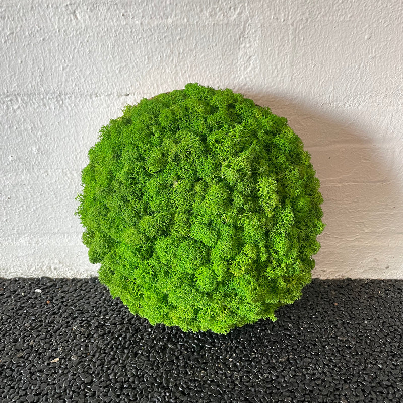 Lysgrøn mos cirkel 20 cm. 2. sortering
