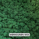 Mørkegrøn reindeer mos.