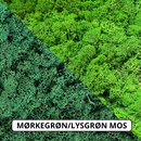 OEKOBOARD Premium - Blandet mos cirkel