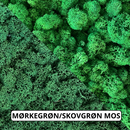 OEKOBOARD Premium - Blandet mos cirkel