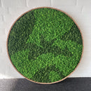 OEKOBOARD Premium - Blandet mos cirkel med kant