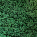 Ægte mørkegrønt reindeer mos