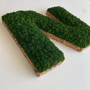 OEKOBOARD - Bogstav med reindeer mos (1 bogstav)