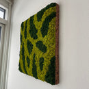 Mos firkant - 2 farver, 50x50 cm. - Restsalg