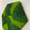 OEKOBOARD Basic - Blandet mos sekskant - 3 farver