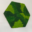 OEKOBOARD Basic - Blandet mos sekskant - 3 farver