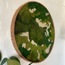 Mosaic mosbillede K4. Med 3 farver reindeer mos.