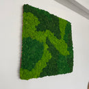 OEKOBOARD Basic - Blandet mos firkant - 3 farver