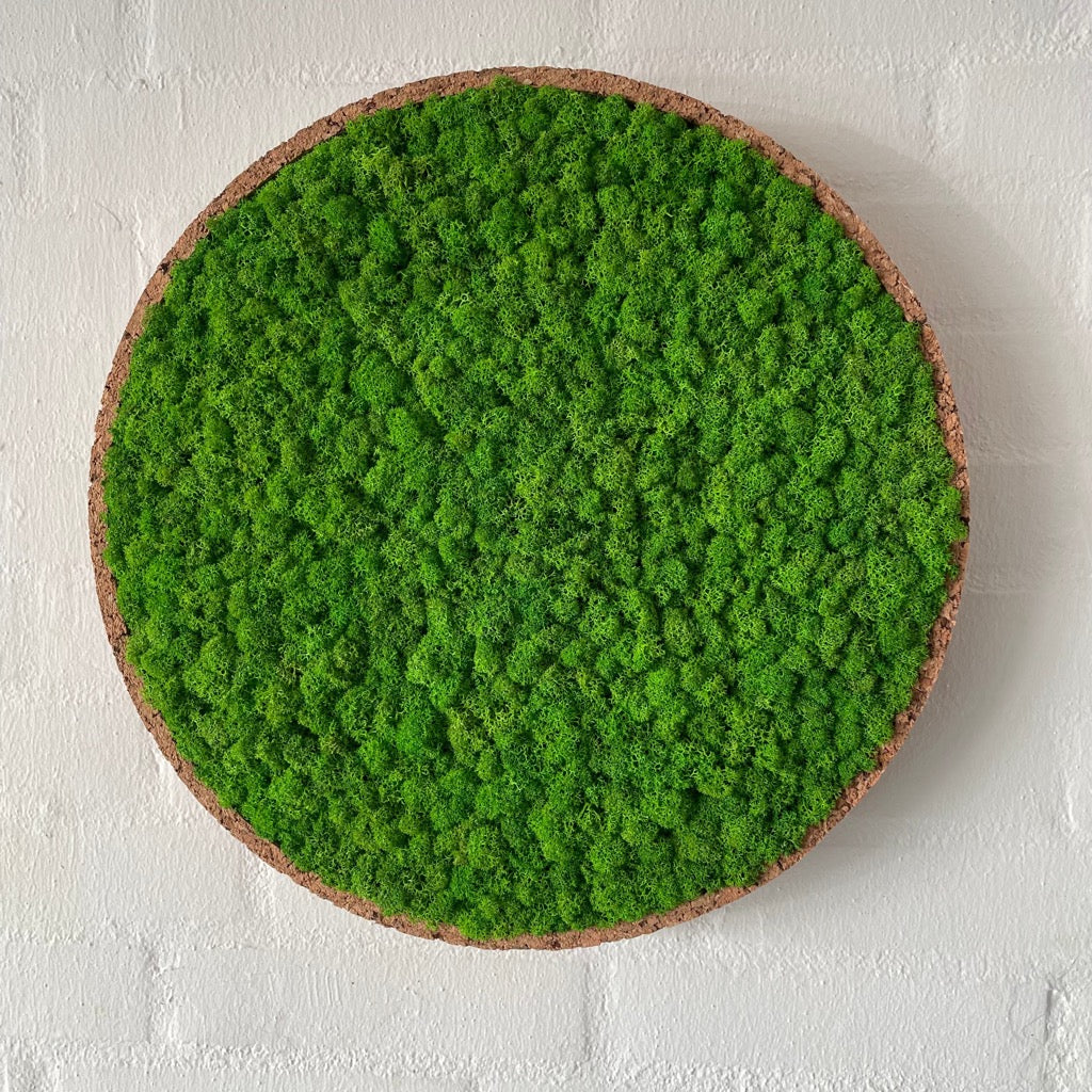 Lys mos cirkel med kork kant. 