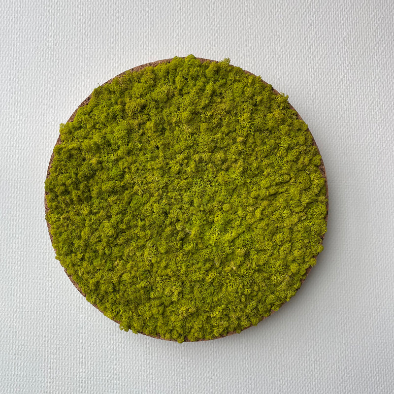 Limegrøn mos cirkel 50 cm. med kork kant - Restsalg