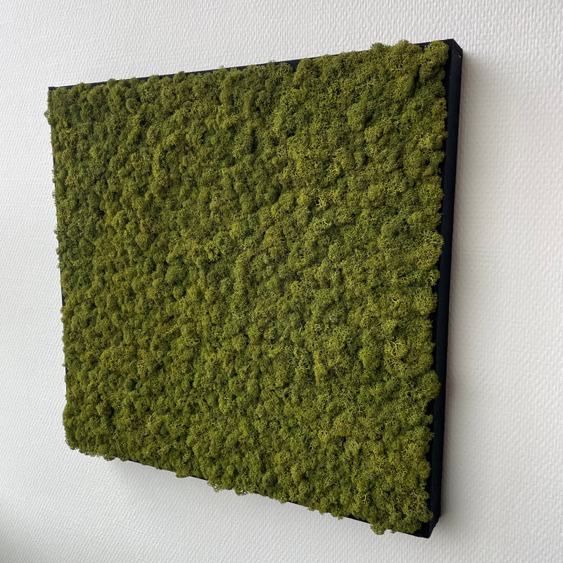 Mediumgrøn mos firkant 50x50 cm. med filt kant - Restsalg