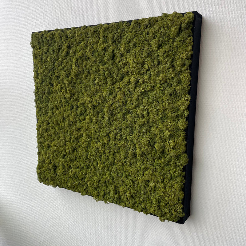 Mediumgrøn mos firkant 50x50 cm. med filt kant - Restsalg