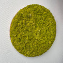 Limegrøn mos cirkel 30 cm. - Restsalg