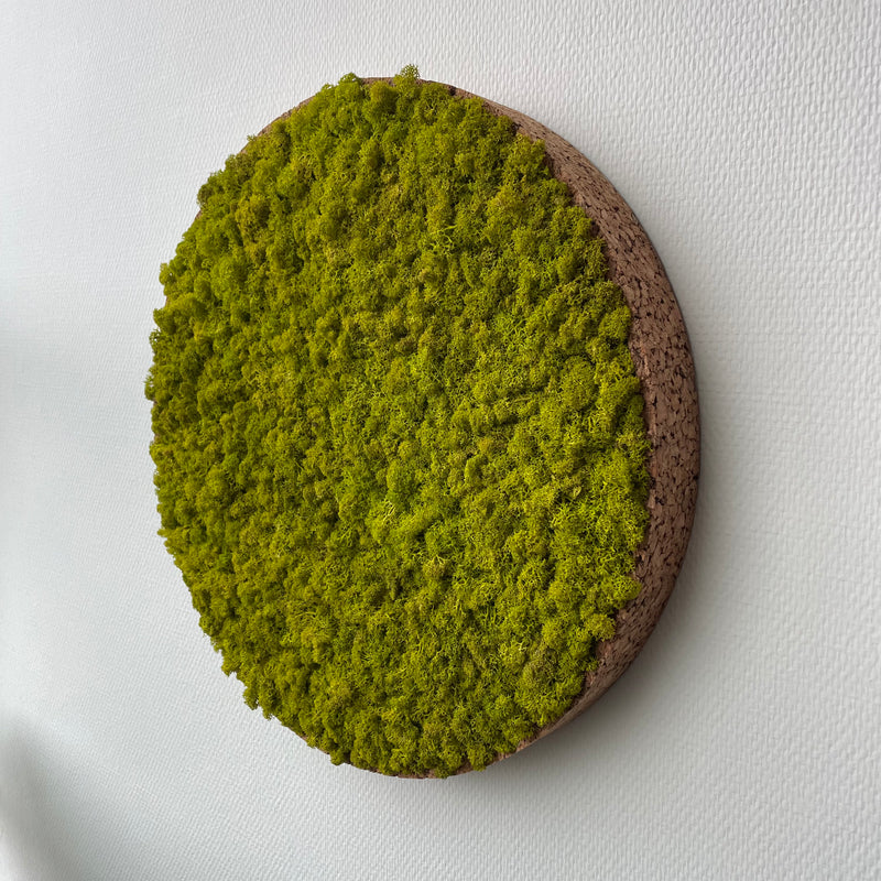 Limegrøn mos cirkel 50 cm. med kork kant - Restsalg