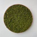 Mediumgrøn mos cirkel 50 cm. med kork kant - Restsalg