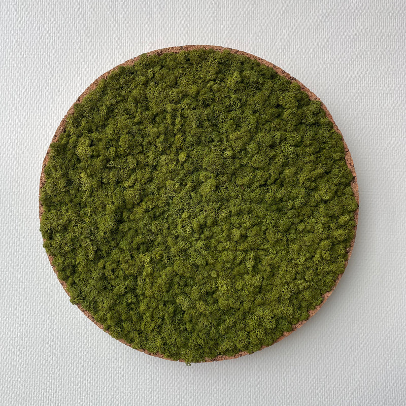 Mediumgrøn mos cirkel 50 cm. med kork kant - Restsalg