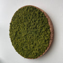 Mediumgrøn mos cirkel 50 cm. med kork kant - Restsalg