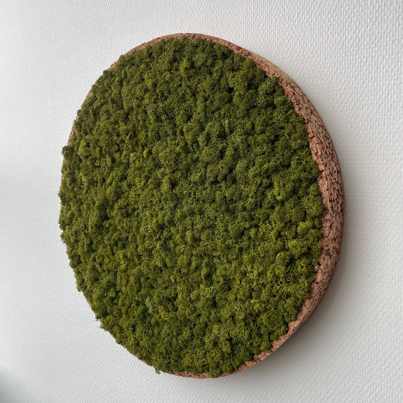 Mediumgrøn mos cirkel 50 cm. med kork kant - Restsalg