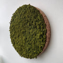 Mediumgrøn mos cirkel 50 cm. med kork kant, 03 - Restsalg