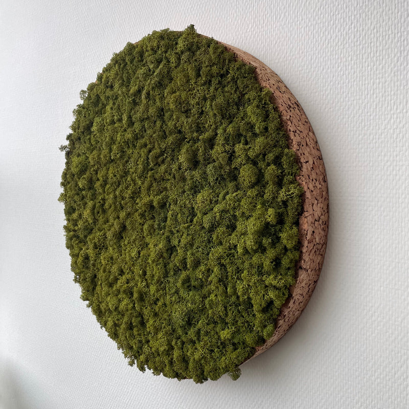 Mediumgrøn mos cirkel 50 cm. med kork kant, 03 - Restsalg