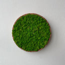 Lysgrøn mos cirkel 30 cm. med kork kant - Restsalg