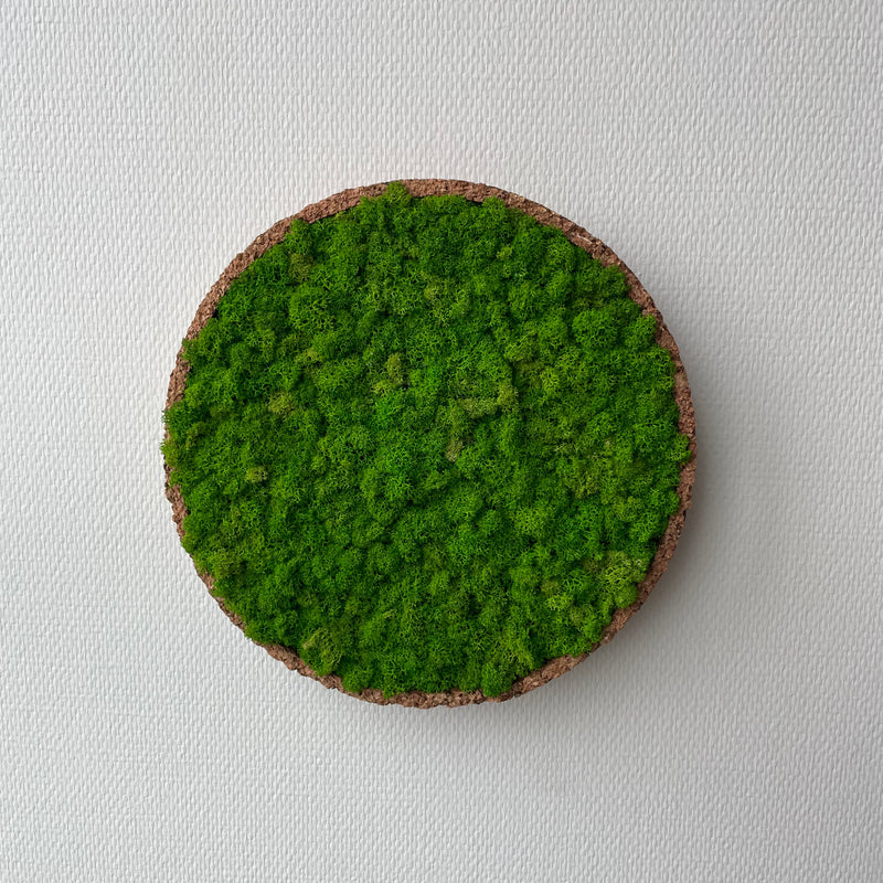 Lysgrøn mos cirkel 30 cm. med kork kant - Restsalg