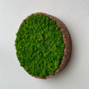 Lysgrøn mos cirkel 30 cm. med kork kant - Restsalg