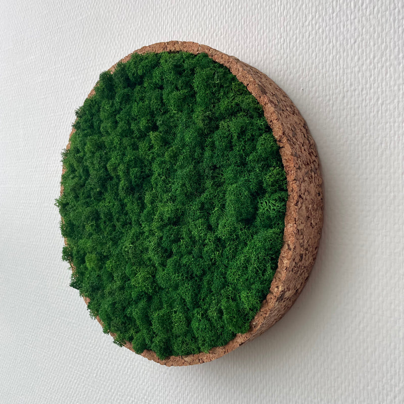 Skovgrøn mos cirkel 30 cm. med kork kant - Restsalg