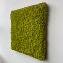 Limegrøn mos firkant 50x50 cm. - Restsalg