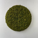 Mediumgrøn mos cirkel 30 cm. - Restsalg