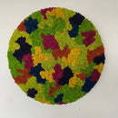 Multicolor mos cirkel 50 cm. - Restsalg