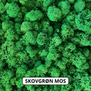 OEKOBOARD Basic - Mos sekskant