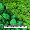 OEKOBOARD Basic - Blandet mos cirkel