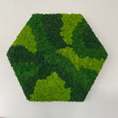 OEKOBOARD Basic - Blandet mos sekskant - 3 farver