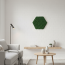 OEKOBOARD Basic - Mos sekskant