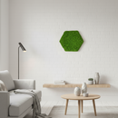 OEKOBOARD Basic - Mos sekskant